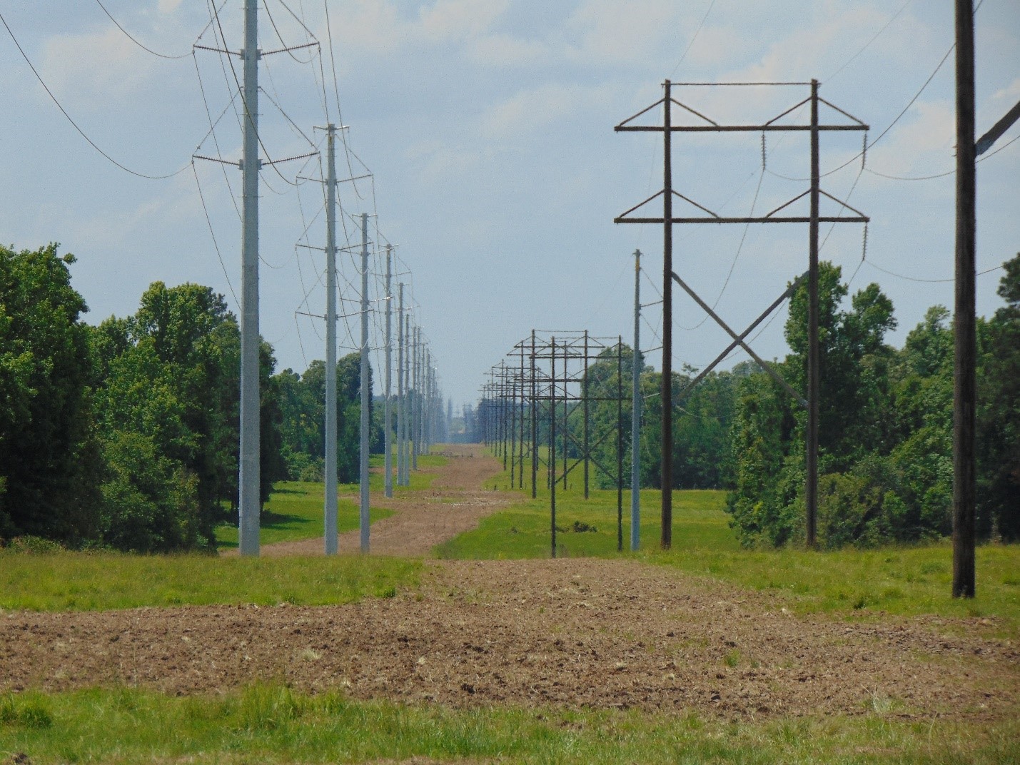 The new 230 kV transmission line between the Lewis Creek Substation near Willis, Texas, and the new Rocky Creek Substation west of Huntsville, Texas.
